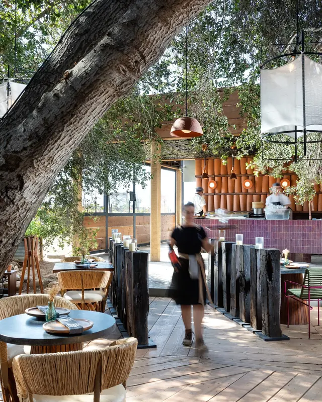 Animalón, Valle de Guadalupe